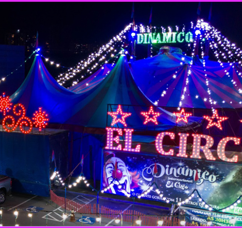 Circo Dinâmico Internacional estreia em Criciúma; veja dias, horários e valores dos ingressos