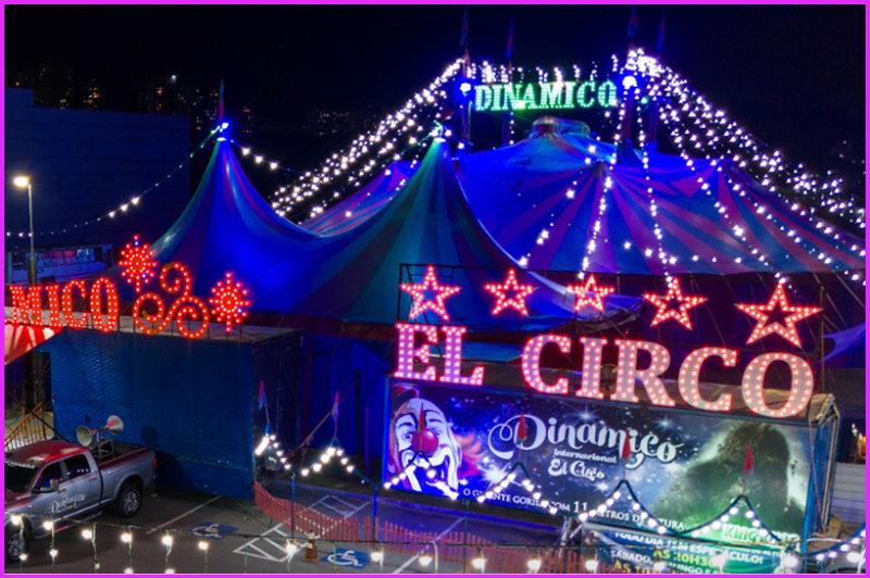 Circo Dinâmico Internacional estreia em Criciúma; veja dias, horários e valores dos ingressos