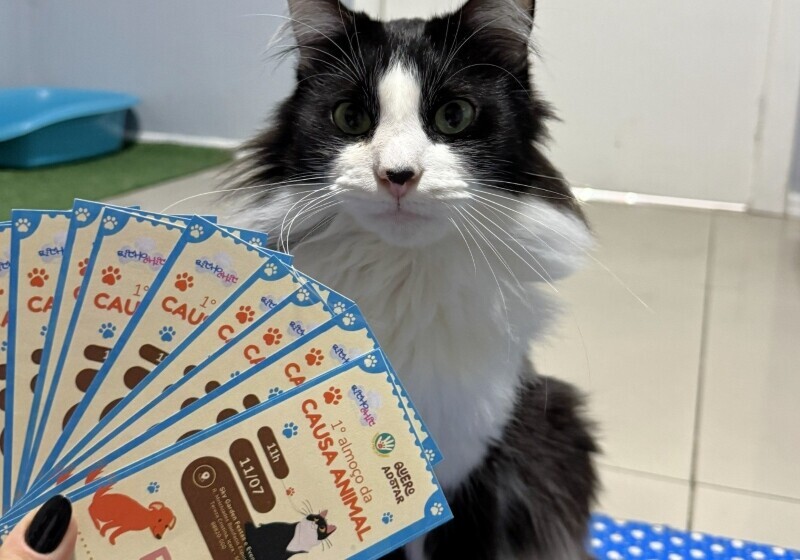 Últimos ingressos: Içara recebe 1º Almoço da Causa Animal