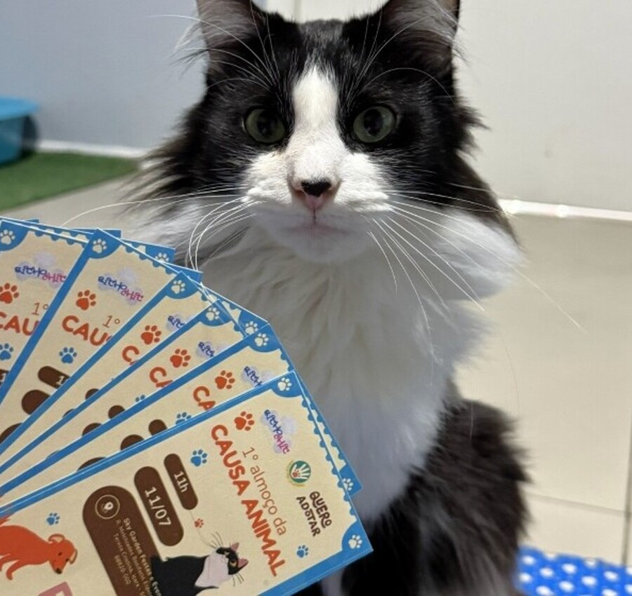 Últimos ingressos: Içara recebe 1º Almoço da Causa Animal