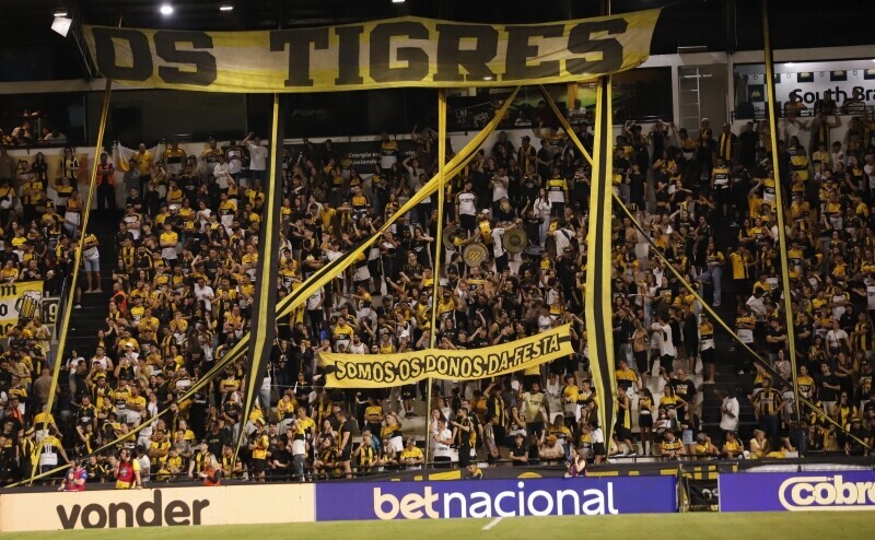 Criciúma x Cuiabá AO VIVO: onde assistir, horários, ingressos e escalações do jogo pela Série B