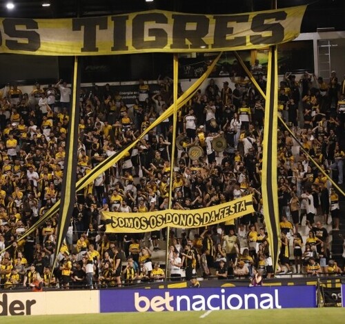 Criciúma lança promoção de ingressos para jogos da Série B contra Operário e Avaí