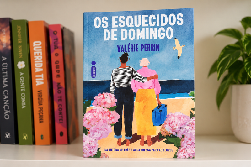 Os Esquecidos de Domingo, de Valérie Perrin: memórias que resistem ao silêncio e à solidão
