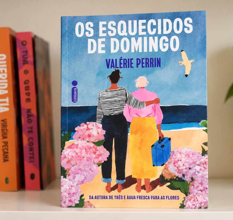 Os Esquecidos de Domingo, de Valérie Perrin: memórias que resistem ao silêncio e à solidão