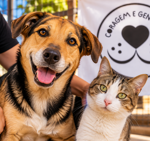 Evento em apoio à causa animal reúne música, jantar e bingo em Criciúma
