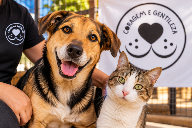 Evento em apoio à causa animal reúne música, jantar e bingo em Criciúma