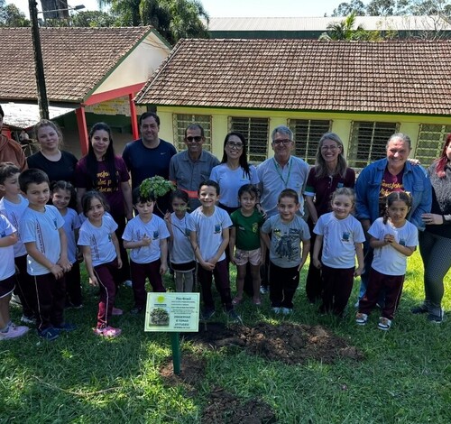 Dia da Árvore: Coopercocal planta mudas de pau-brasil em escolas de Cocal do Sul e Urussanga