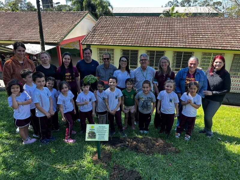 Dia da Árvore: Coopercocal planta mudas de pau-brasil em escolas de Cocal do Sul e Urussanga