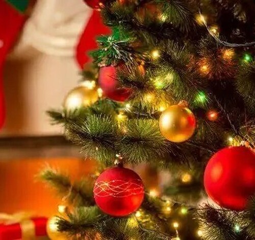 2ª edição do Natal Encantado em Criciúma