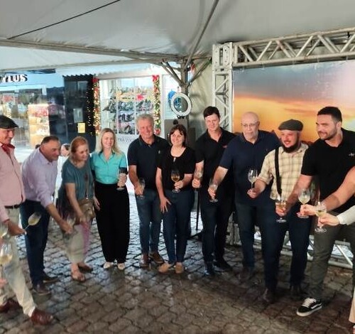 Lançada 17ª Vindima Vales da Uva Goethe