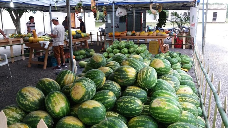 Fim de semana de Festa da Melancia em Içara