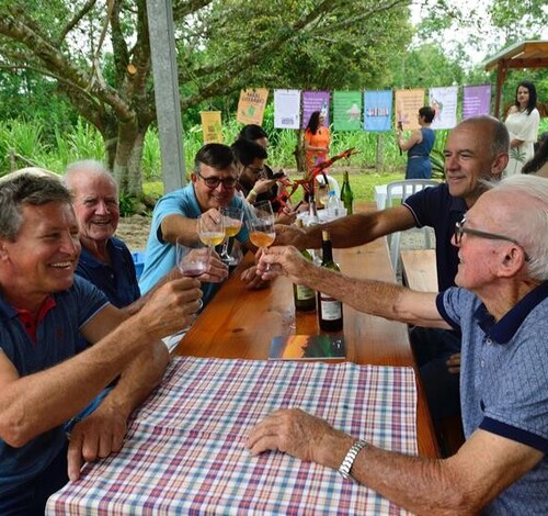 Último fim de semana da Vindima Goethe 2025