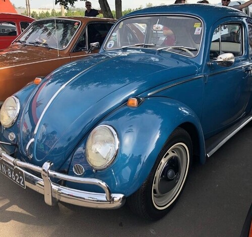 Encontro de Veículos Antigos em Criciúma