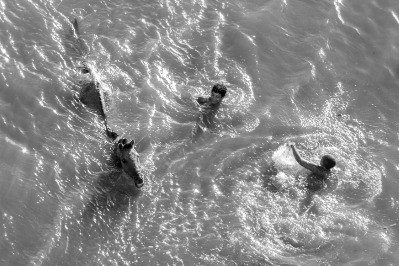 Crianças tomando banho no mar ao lado de um cavalo
